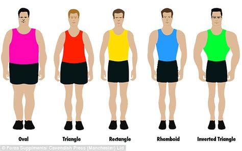 We took a look at every angle—from mental health to digestion to immunity — to arrive at this list of the great, the good, the bad, and the ugly. The IDEAL male body shape revealed | Daily Mail Online