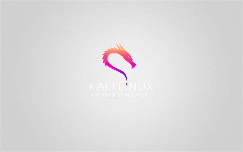 Find the best kali linux wallpaper hd on getwallpapers. Wallpaper : 1920x1200 px, CG, computer, hackers, hacking ...