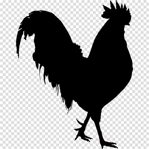 Chicken Silhouette Transparent Background All Files Saved Separately
