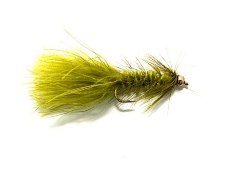 Top 5 Best Trout Lures Skyaboveus
