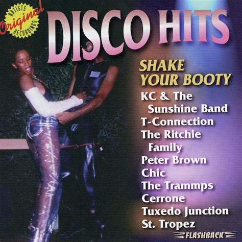 Disco Hits Shake Your Booty 1997 Cd Discogs