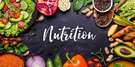 Types Of Nutrition Different Types Of Nutrition For Human Body Explained
