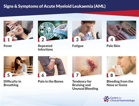 Acute Myeloid Leukaemia Aml Cfch Centre For Clinical Haematology