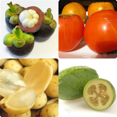 Have you tried any of these unusual fruits? exotic fruits | Mirth and Motivation