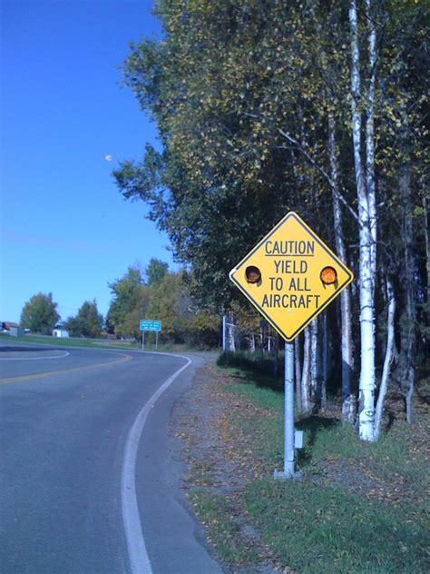 What Are The Most Funny And Bizarre Road Signs Worth Slowing Down For