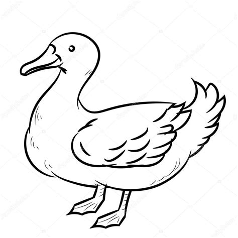 Pictures Line Drawing Simple Line Drawing Of Duck Simple Line