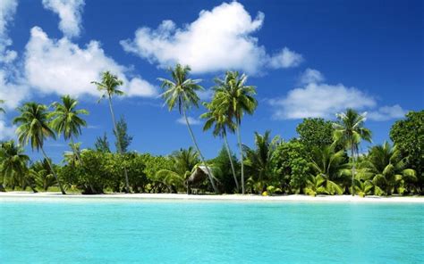 Landscape Sea Bay Nature Sky Beach Coast Palm Trees Swimming