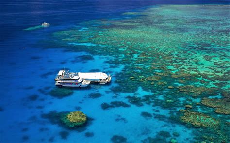 Pontoon Great Barrier Reef Cairns Great Barrier Reef Tour Explore
