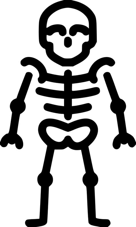 Skeleton Anatomy Bones Skull Svg Png Icon Free Download 493993