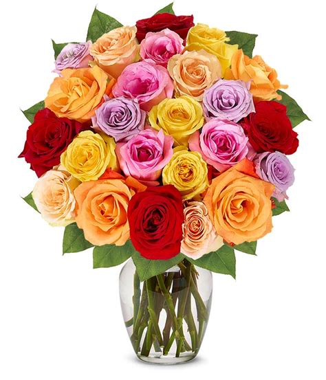 Two Dozen Assorted Roses At From You Flowers