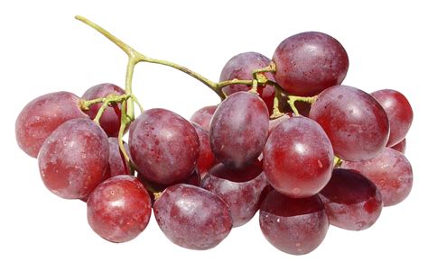 Grape Png Transparent Grapes Clipart Images Free Download Free