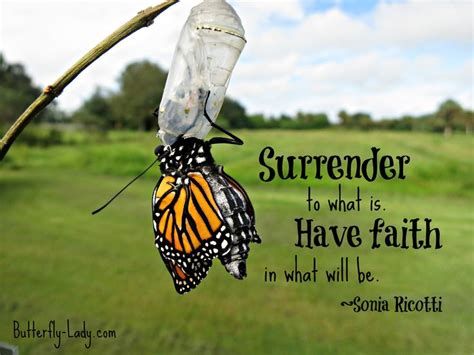 Surrenderhave Faith Butterfly Quotes Butterfly Inspiration