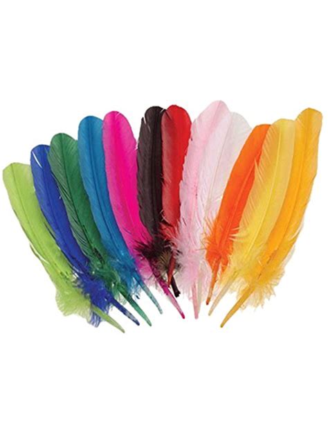 12 Assorted Color Turkey Feathers
