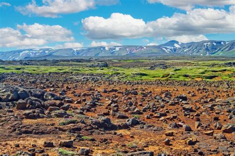 Beautiful Icelandic Volcanic Landscape Lava Stone Field Grean Meadow