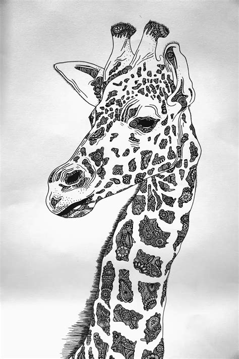 Giraffe Drawing Art And Design Pinterest Brinquedos De Gatinho