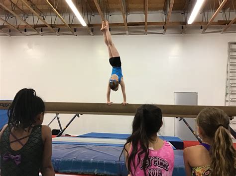 Competitive Or Recreational Choosing Which Gymnastics Path Suits Your