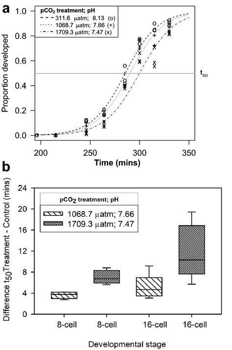 Early Development Of E Chloroticus A Cross A At The 16 Cell Stage As