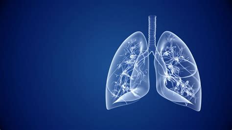 Емфизем на белите дробове какво представлява и какви са причините puls bg