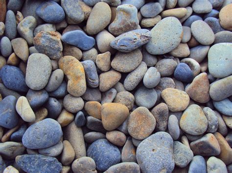 Collection Of Pebbles Free Stock Photo Public Domain Pictures