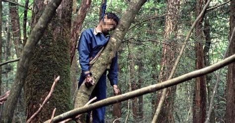 Monstrous Monsters Aokigahara The Suicide Forest