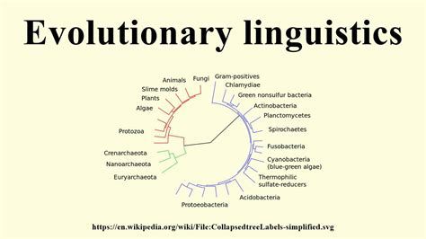 evolutionary linguistics youtube