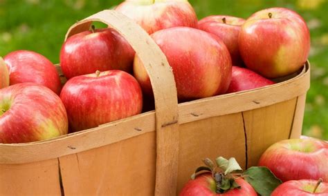Honeycrisp Apple Recipes Fresh Madison Market