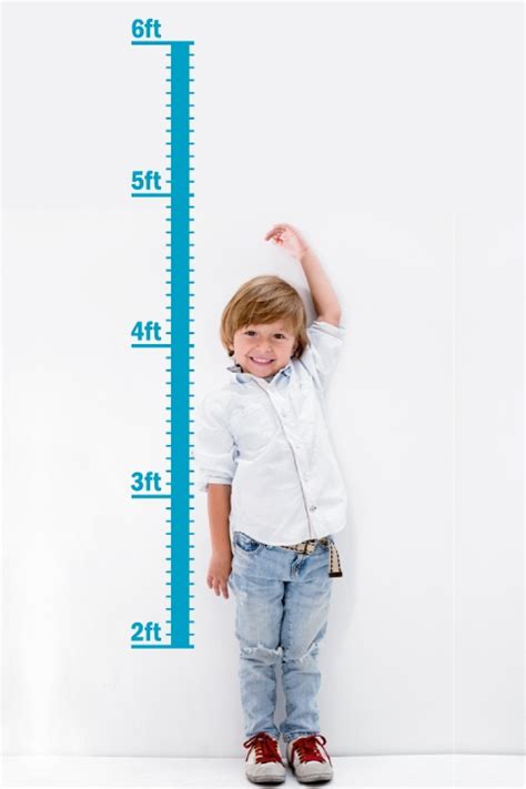 Kids Growth Chart Wall Decals Art Without