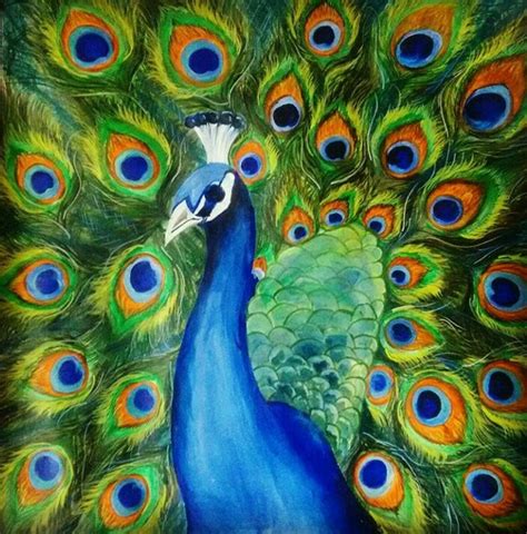 Buy Peacock Handmade Painting By Neha Gupta Codeart3052
