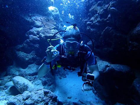 Reef Encounters Dive Shop Ryukyu Yonaguni And Okinawa Diving