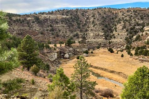 Dawson Elk Valley Ranch Hunting Land For Sale