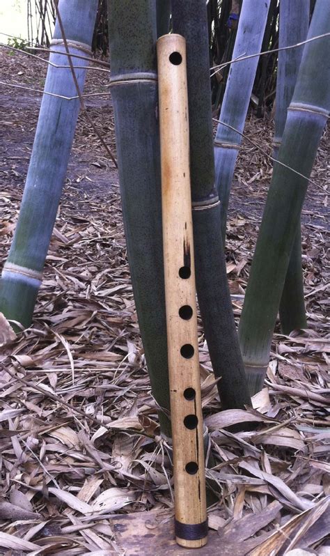 Side Blown Flute Brazilian G Bamboo Body Major Scale Erik The