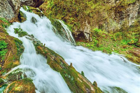 Waterfall In The Gorge Stock Image Image Of Pure Trekking 64934181
