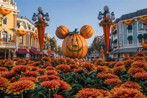 Everything You Need To Know About Disneylands New Halloween Party