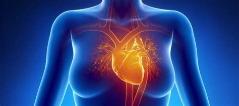 Broken Heart Syndrome Increasing Among Adult Women Pledge Times
