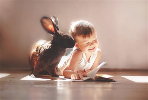 Rabbit And Children Cute Hd Cute 4k Wallpapers Images Backgrounds