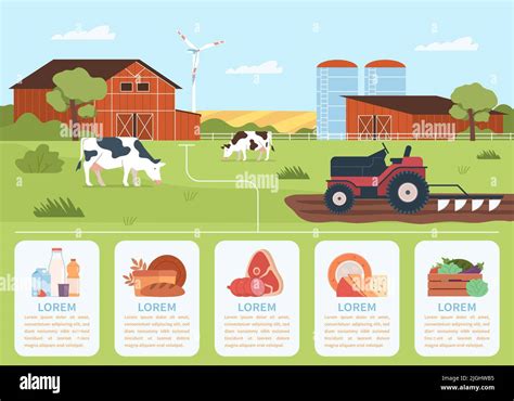 Infographic Food Production