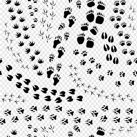 Deer Footprint Clipart Outline