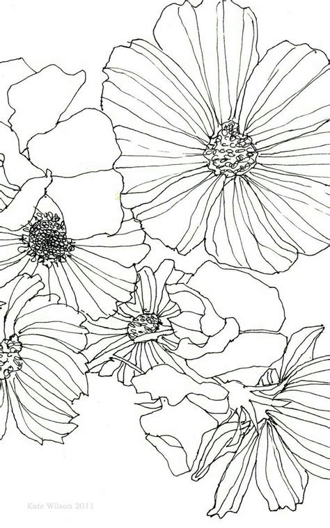 Pencil drawing monochrome floral elements in vintage style. Flowers To Draw | Sn39 | Pinterest | Zeichnen Lernen ...