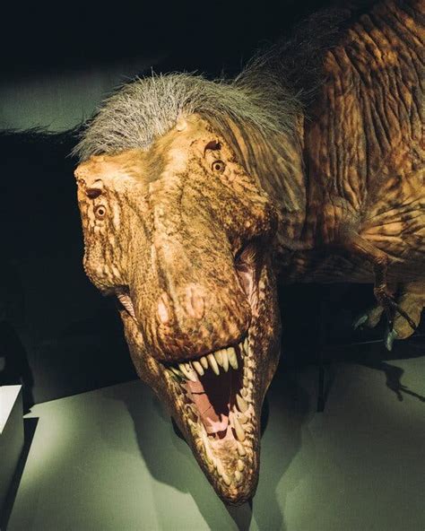 Tyrannosaurus Rex Badass Of The Week