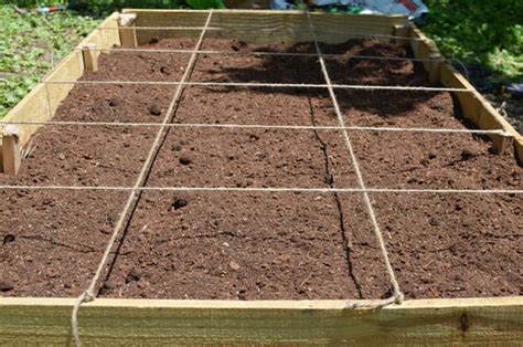 What is square foot gardening? Easy Steps To Square Foot Gardening Success • The Garden Glove