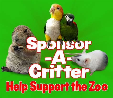 Critter Squad Reptile Petting Zoo Reptile Shows