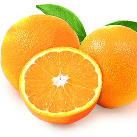 Fresh Valencia And Naval Oranges For Salesouth Africa Price Supplier