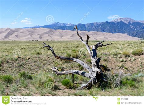 The Scenic Beauty Of The Colorado Rocky Mountains Stock Image Image