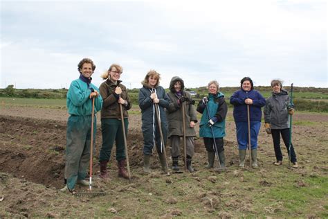 Bosavern Community Farm Earthing Up Potatoes