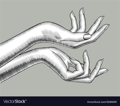 Female Hands Stretching Palm Up Royalty Free Vector Image