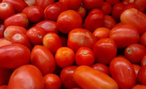 How Maharashtras Tomato Belt Can Tackle Its Viral Menace
