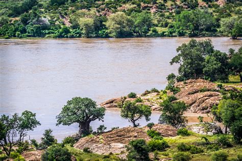 Limpopo River In Mapungubwe National Park South Africa Stock Photo