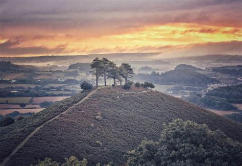 Landscape Dorset Area Of Outstanding Natural Beauty