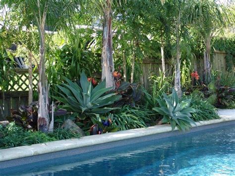 The 25 Best Tropical Pool Landscaping Ideas On Pinterest Pool Plants