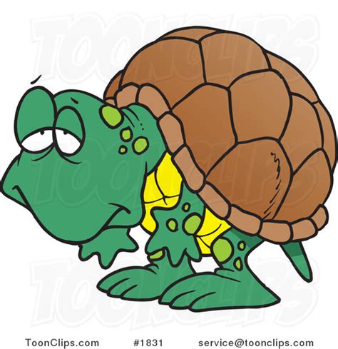 Tortoises Cartoon Free Download On Clipartmag